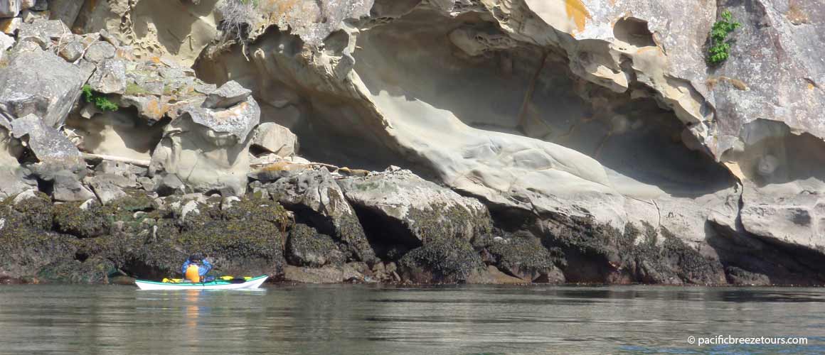 Kayak excursions and adventures