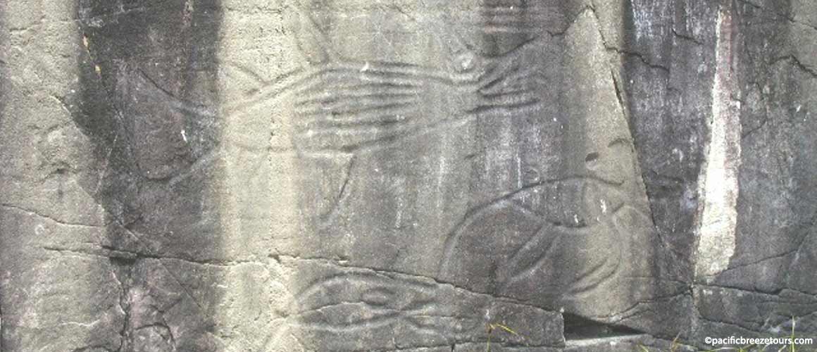 Ancient native petroglyphs