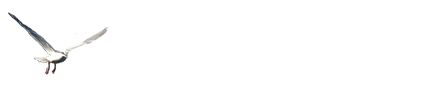 Pacific Breeze Tours footer logo